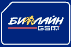 BEELINE-logo